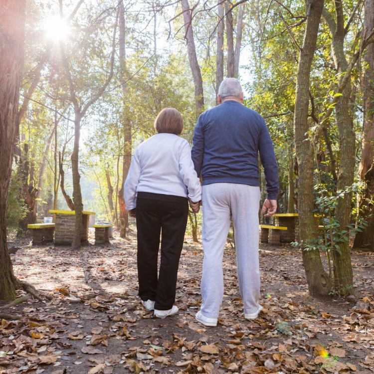 Casal de idosos num passeio ao ar livre no outono