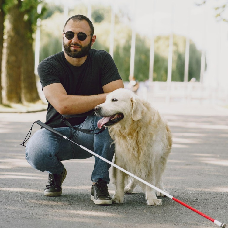 Deficiência em Portugal: obstáculos que surgem no dia-a-dia